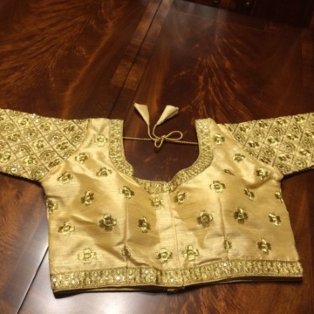 Gorgeous Indian/Bollywood/Pakistani Choli/ Blouse